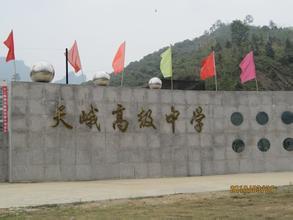 天峨县  标签: 中学 学校 高中 教育  天峨高级中学共多少人浏览